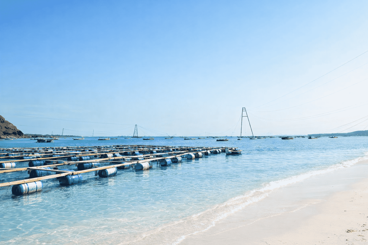 Northern China Agriculture and Food Ecosystem Low-carbon Transformation Project