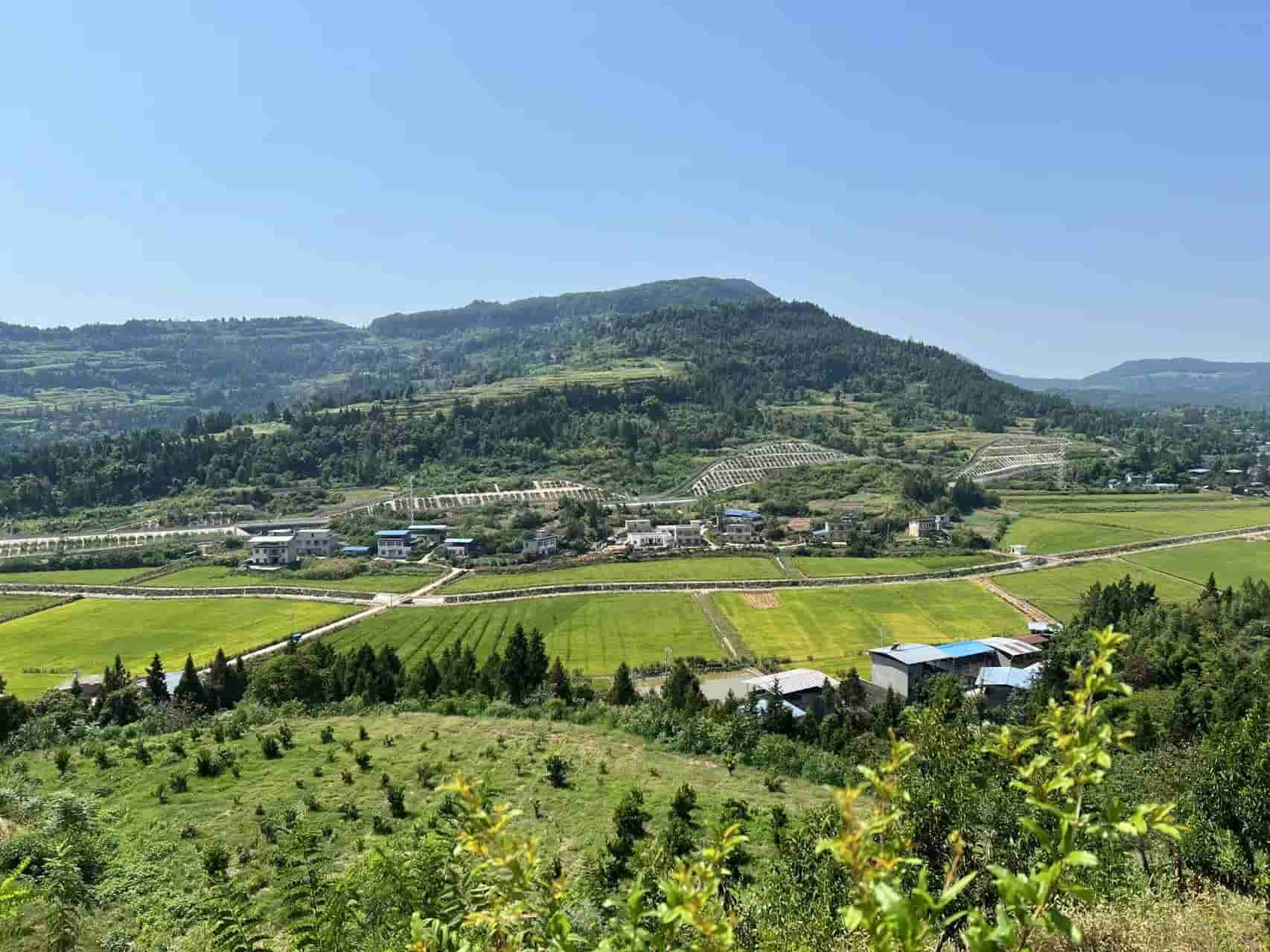 Sichuan Climate Smart Low-carbon Agriculture Development Demonstration Project