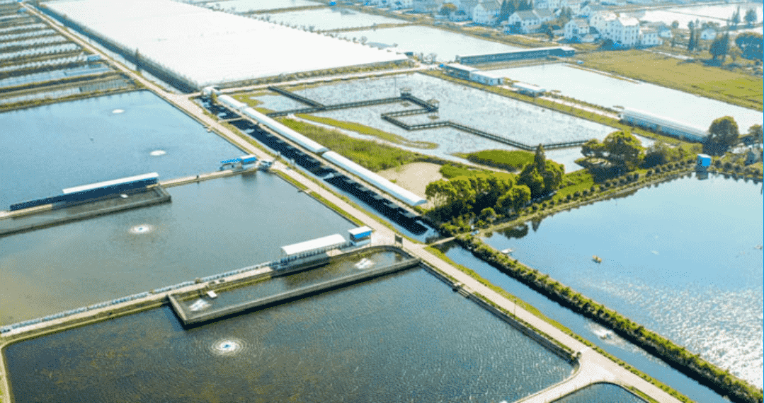 Rural Vitalization – Rural Wastewater Treatment and Environmental Management